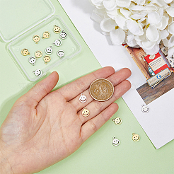 20 шт. подвески из нержавеющей стали 304 двух цветов&nbsp;FIND-DC0004-97