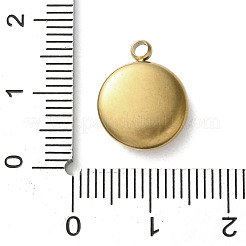 Подвески из акрила из нержавеющей стали 304&nbsp;LS-STAS-M091-02A-G