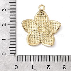 Подвески из эмали и сплава&nbsp;FIND-C079-03G-02