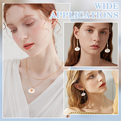 66 шт. 11 стиля натуральных ракушек большие подвески&nbsp;PALLOY-MA00003