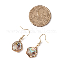 Естественно Paua оболочки болтающийся серьги&nbsp;EJEW-JE06274