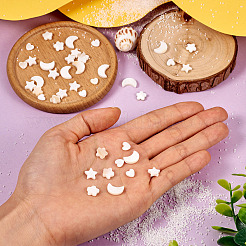 40шт 4 стиля натуральные бусины из пресноводных ракушек&nbsp;SHEL-TA0001-15