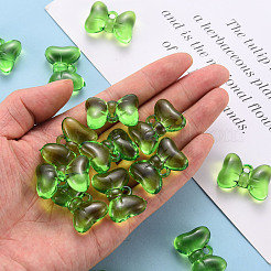 Прозрачные акриловые подвески&nbsp;TACR-T024-02BB-925