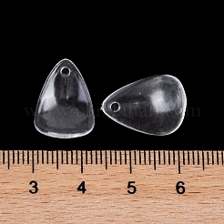 Прозрачные акриловые подвески&nbsp;TACR-G050-01D