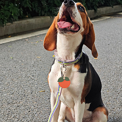 1шт держатель для карт из искусственной кожи&nbsp;KEYC-SP0001-46A