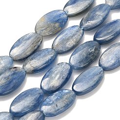 Натуральный кианитовые бисер пряди&nbsp;G-H335-D01-8x15mm