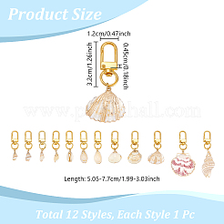 Гальванические подвесные украшения в виде ракушек&nbsp;HJEW-NB00203