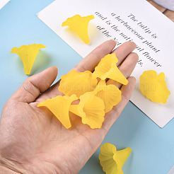 Прозрачные акриловые бусины&nbsp;BSF796-C09