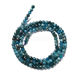 Природного апатита нитей бисера&nbsp;G-RM2025-28-3mm