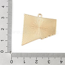 Подвески из спортивного сплава с эмалью&nbsp;ENAM-I074-01G-13