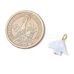 Подвески в форме рыбок из акрила в стиле ремесла&nbsp;PALLOY-JF03923-02