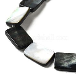 Нити бусин из натуральной черной ракушки для губ&nbsp;BSHE-D300-03-13x18mm