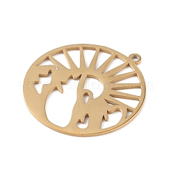 201 подвеска из нержавеющей стали&nbsp;LS-STAS-K250-01G