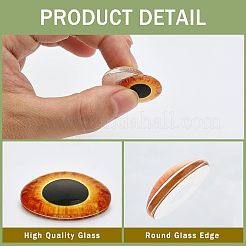 30 шт. 15-х видов светящихся стеклянных кабошонов&nbsp;DIY-CA0004-97