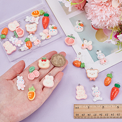 30шт 15 стиля непрозрачные подвески из смолы&nbsp;RESI-WR0001-10