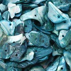 Окрашенные натуральные перламутровые ракушки&nbsp;BSHE-O007-10A