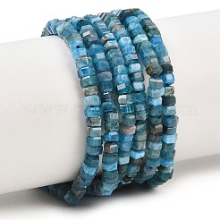 Природного апатита нитей бисера&nbsp;G-G345-C26-2x4mm