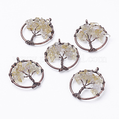 Природные подвески цитрин&nbsp;G-E419-11R