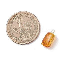 Подвески из натурального янтаря с градиентным цветом&nbsp;PALLOY-JF04877