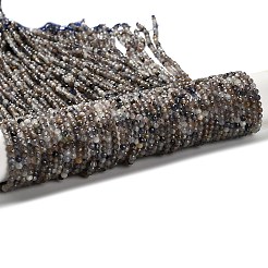 Природные иолит нитей бисера&nbsp;LS-G-RM2025-22-3mm