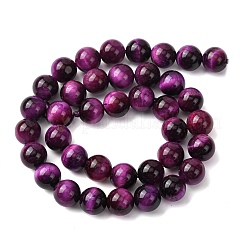 Природных тигровый глаз бисер нитей&nbsp;G-S259-03A-10mm