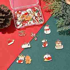 30шт 15 стиля подвески из сплава с эмалью&nbsp;ENAM-FS0003-52A