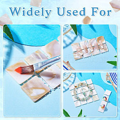 3 шт. 3 стиля натуральной ракушки для дизайна ногтей&nbsp;ODIS-TA0001-04