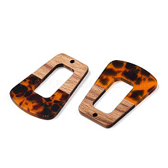 Подвески из прозрачной смолы и ореха&nbsp;RESI-TAC0017-72-B01