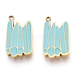 Подвески из нержавеющей стали 304 с эмалью&nbsp;STAS-T064-22G