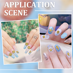 3 коробка кабошонов из сплава&nbsp;MRMJ-CP0001-51