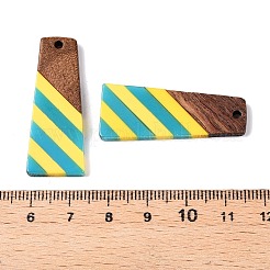 Подвески из эпоксидной смолы и орехового дерева&nbsp;RESI-N039-121M