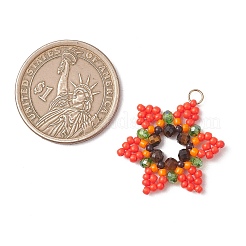 Стеклянные подвески из бисера&nbsp;PALLOY-MZ01241-05