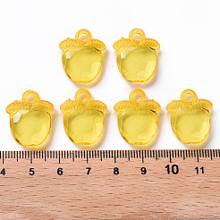 Прозрачные акриловые подвески&nbsp;TACR-S154-28B-81