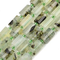 Природные пренит нитей бисера&nbsp;G-G453-E03-10x14mm