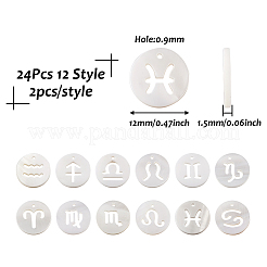 24 шт. 12 стиля природных пресноводных ракушек&nbsp;SHEL-KS0001-04