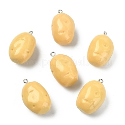 10 шт. подвески из непрозрачной смолы&nbsp;RESI-YW0004-60