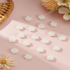 200шт бусины из искусственного жемчуга из АБС-пластика&nbsp;OACR-LP0001-01