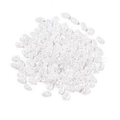 Непрозрачные цвета блестящие стеклянные бусины&nbsp;SEED-T006-02L