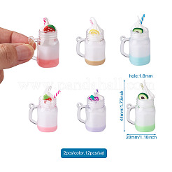 12 шт. подвески из смолы и пластика&nbsp;RESI-BT0001-03