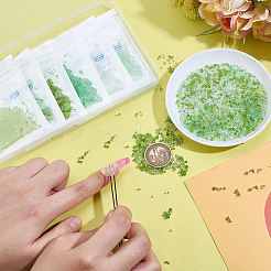 12 набор стеклянных бусин 6 цветов&nbsp;GLAA-PH0003-92