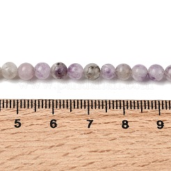 Натуральный лепидолит / пурпурный слюдяный камень бисер пряди&nbsp;G-K410-06-4mm-A