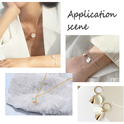 Природные подвески оболочки пресноводных&nbsp;SHEL-FH0001-03