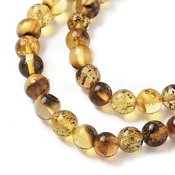 Янтарные шарики нити&nbsp;G-L095-B01-5mm-03