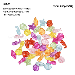 250шт 50г прозрачные акриловые бусины&nbsp;TACR-FP0001-04