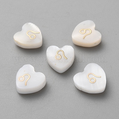 5шт натуральные белые бусины из ракушек BSHE-TAC0004-02G-1