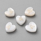 5шт натуральные белые бусины из ракушек BSHE-TAC0004-02G-1
