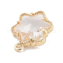 Подвески из прозрачного стекла с инкрустацией из латуни&nbsp;LS-KK-Z061-05G