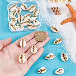 24 шт. 3 стиля подвески из натуральной ракушки каури/пресноводной ракушки с гальваническим покрытием&nbsp;BSHE-PH0001-63