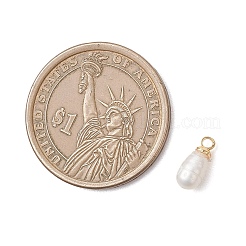 Натуральные культивированные пресноводные жемчужные рисовые подвески&nbsp;PALLOY-JF04868