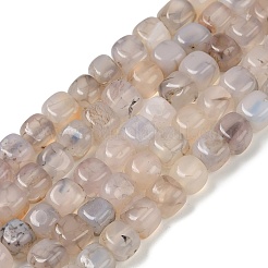 Природных вены драконов агат бисер нитей&nbsp;G-G177-E15-01